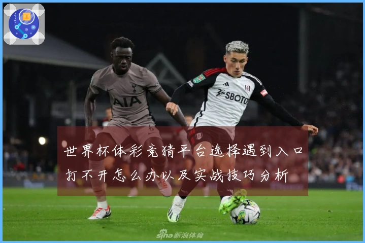 世界杯体彩竞猜平台选择遇到入口打不开怎么办以及实战技巧分析
