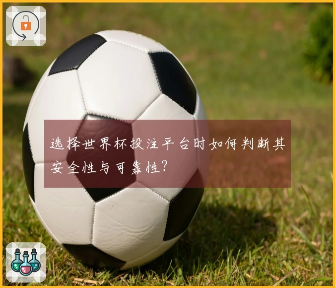 选择世界杯投注平台时如何判断其安全性与可靠性？