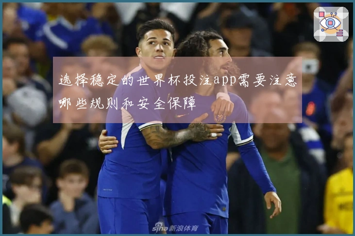 选择稳定的世界杯投注app需要注意哪些规则和安全保障